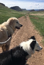 Aspen with Charlie