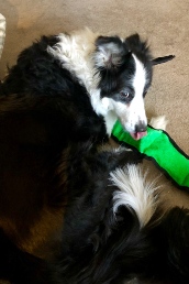 Clodagh with snake toy