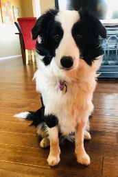 Maisie 7 months