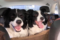 Nash & Chloe love car rides