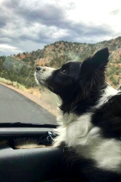 Nava admires scenery from the van