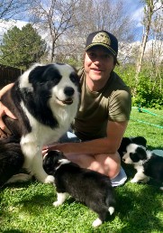 Wuki with pups of Chloe-Jak